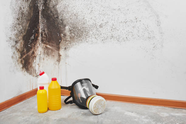 Best Mold Removal for HVAC Installations  in Sun Valley, PA